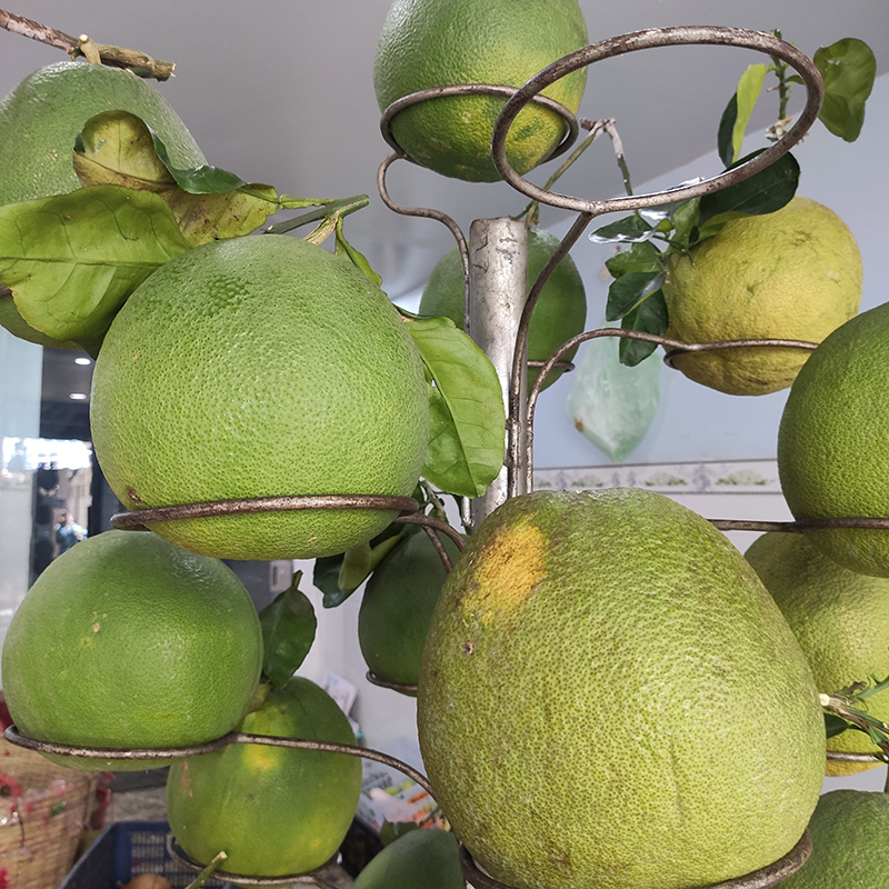 Bưởi Bến Tre không cành (1 trái)